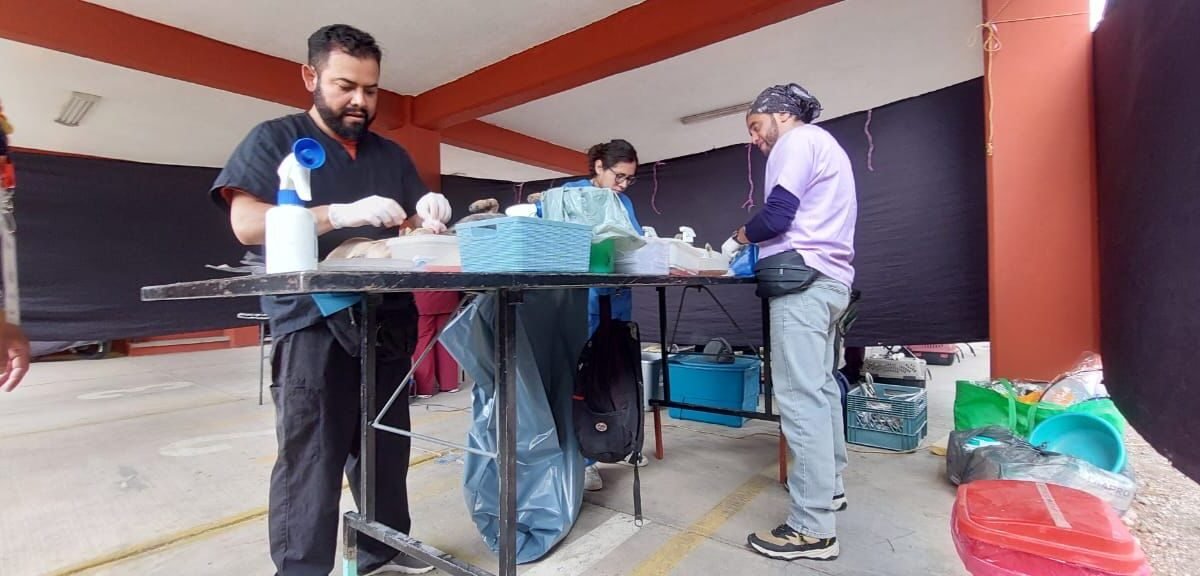 En Jiutepec se llevaron a cabo más de mil esterilizaciones